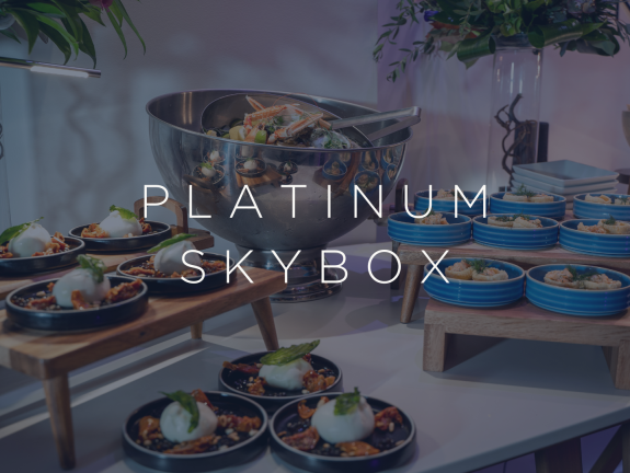 PLATINUM SKYBOX